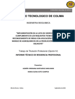 Informe Tecnico Residencia Profesional Viridiana Santacruz y Elena Soto