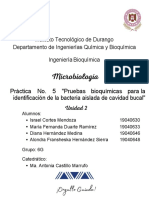 Practica 5 Microbiología