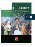 Estructura Socioeconomica de Mexico - Compressed