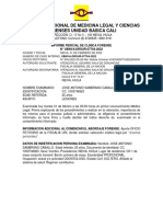 Informe de Lesiones No Fatales Inmlycf