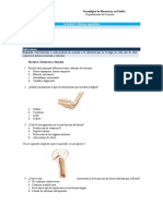 Actividad 4. Sistema Esqueletico