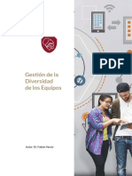 Libro - Diversidad de Equipos de Trabajo