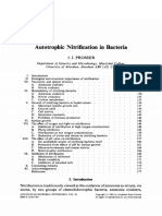 Autotrhopic Nitryging Bacteria Luis