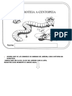 Doroteia A Centopéia - ATIVIDADES