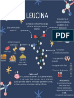 Infografia de La Leucina
