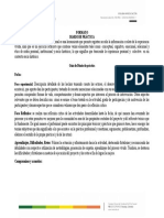 Diario de Práctica y Notas de Aula - Programa Trabajo Social