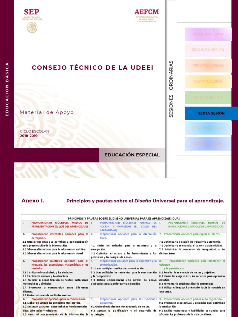 Anexo 1. Principios y Pautas DUA | PDF | Aprendizaje | Ciencia cognitiva