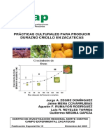 Prácticas para durazno criollo Zacatecas