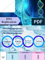 DNA Replication Powerpoint MA BIO