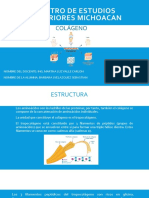 Exposicion Bioquimica