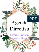 Agenda Directiva