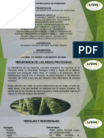 Aporte de Trabajo Ecologia SMRC