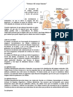 Sistemas Del Cuerpo Humano