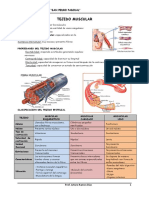 Tejido Muscular y Nervioso 2do