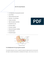 Histologia Organos de Los Sentidos Especiales