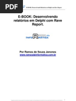 Download Rave Reports by Bruno Aparecido da Silva SN58983267 doc pdf