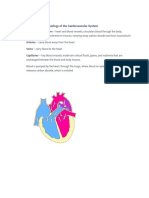 The Cardiovascular System and Drug Therapy