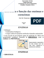 Bioquímica Básica: Estrutura e Função das Enzimas