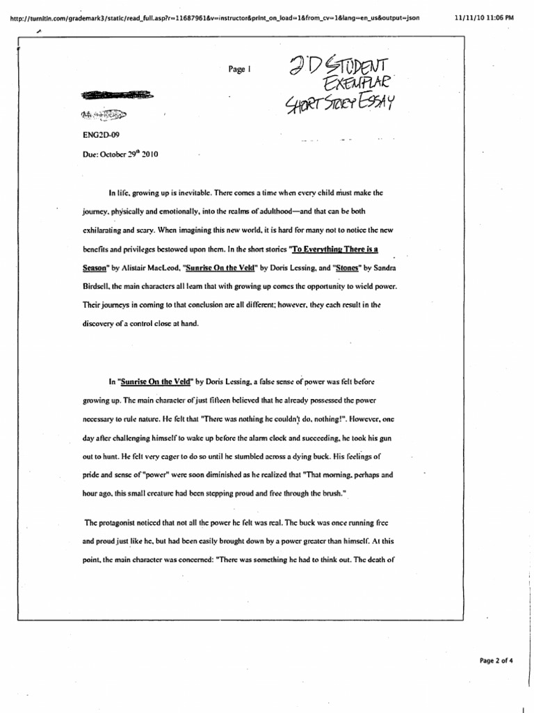 ENG2D Essay 2 | PDF | Young Adult | General Fiction
