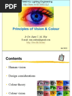 Principles of Vision & Colour: Ir Dr. Sam C. M. Hui