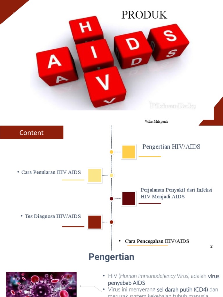 HIV AIDS (Produk Wilis Milayanti) | PDF