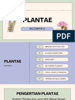 Kingdom Plantae dalam Klasifikasi