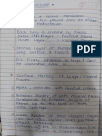Understanding the Pleura and Lung Lobes