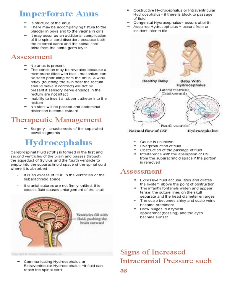 Imperforate Anus | PDF | Cerebrospinal Fluid | Clinical Medicine