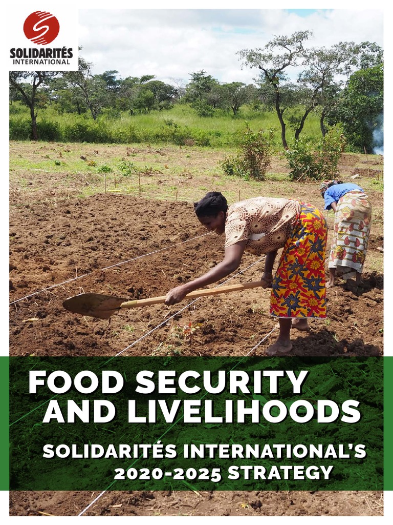 Food Security and Livelihoods Strategy SOLIDARITES INTERNATIONAL | PDF ...