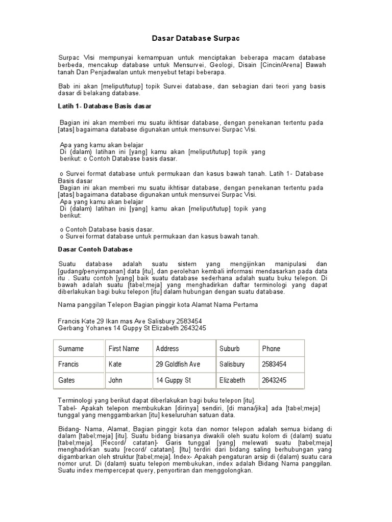 Database Surpac | PDF