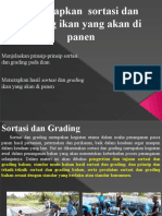 Menerapkan Sortasi Dan Grading Ikan Yang Akan Di Panen