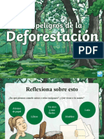 Deforestación