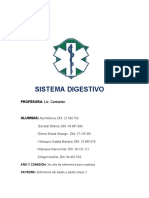 Sistema Digestiv