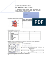 LKPD Peredaran Darah
