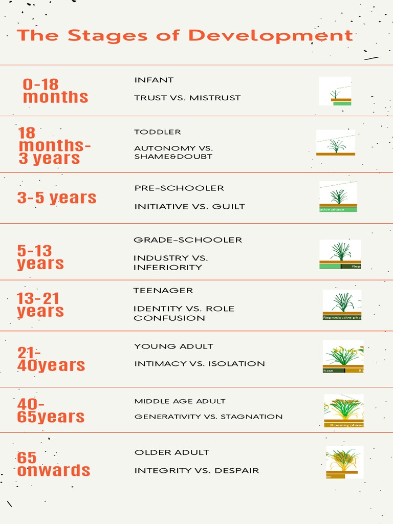 STAGES OF DEVELOPMENT | PDF