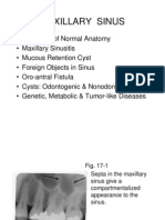 Chapter 17 Maxillary Sinus - Slides