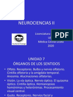 Unidad 7 ÓRGANOS DE LOS SENTIDOS (VISIÓN. OLFATO. GUSTO)