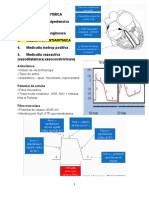 Curs 3 - Antiaritmice