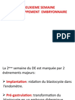 Embryo1an-2eme Semaine2021