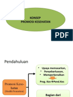 PROMOSI KESEHATAN