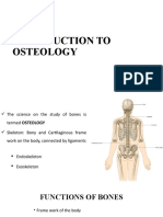 Introduction To Osteology - 21-04-2022