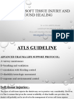 Orofacial Soft Tissue Injury and Wound Healing