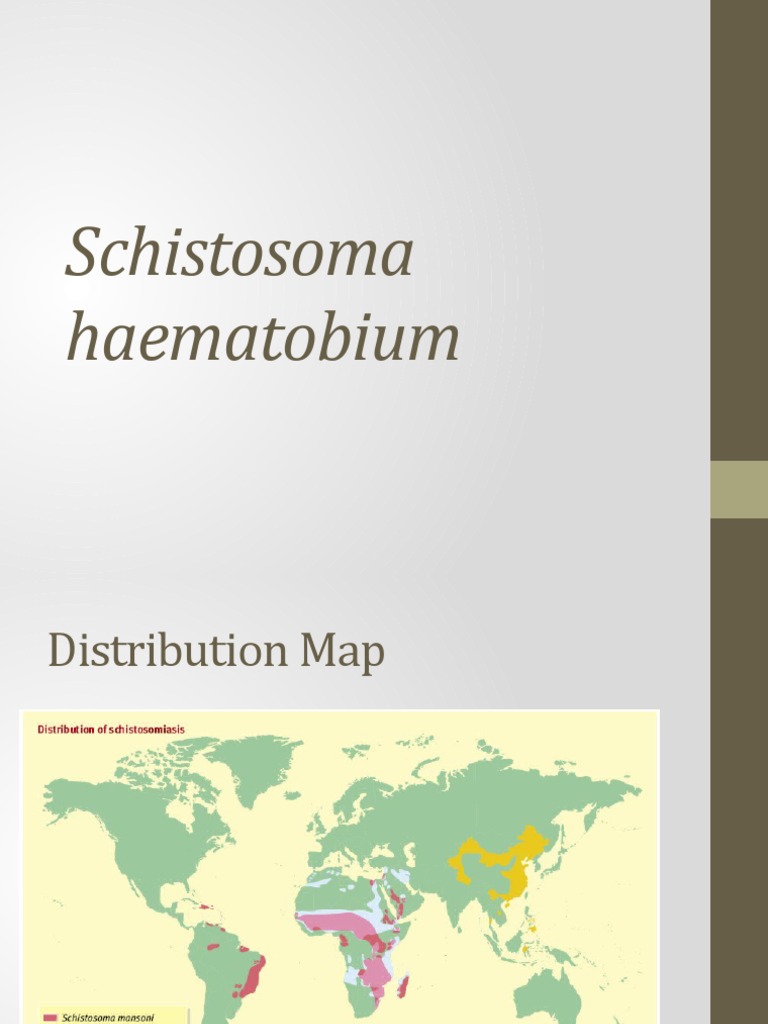 Schistosoma Haematobium PDF