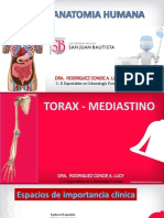 5 Torax y Mediastino Sistema