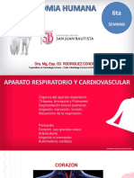 6 Aparato Respiratorio y Cardiovascular SISTEMA