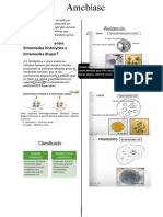 Amebíase Prova