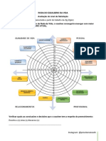 Roda Do Equilibrio Da Vida