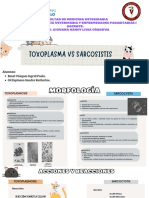 Toxoplasmosis TAREA