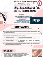 Salpingitis, Cervicitis, Metritis y Piometra - Grupo N°10