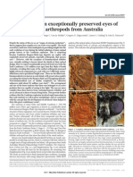 Modern Optics in Exceptionally Preserved Eyes of Early Cambrian Arthropods From Australia